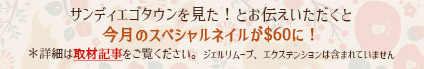 サンディエゴタウンを見た！とお伝え頂くと今月のネイルが$60に！