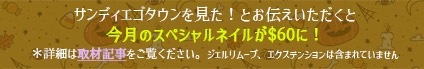 サンディエゴタウンを見た！とお伝え頂くと今月のネイルが$60に！