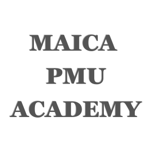 サンディエゴアートメイクスクール - MAICA PMU ACADEMY